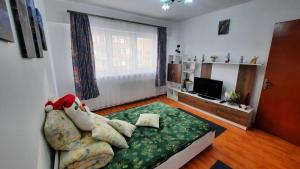 sala de estar con sofá y TV en Bubu Apartament, en Petroşani