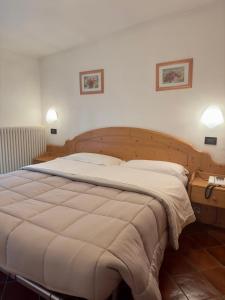 ein großes Bett in einem Schlafzimmer mit zwei Bildern an der Wand in der Unterkunft Hotel Zeni in Madonna di Campiglio