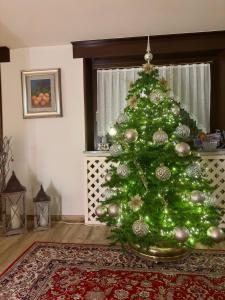 einen grünen Weihnachtsbaum im Wohnzimmer in der Unterkunft Hotel Zeni in Madonna di Campiglio