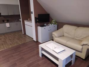Kuchnia lub aneks kuchenny w obiekcie Apartmán Frank