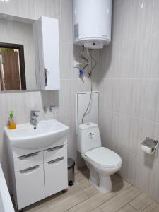 Апартаменты Daily Home في فينيتسا: حمام به مرحاض أبيض ومغسلة