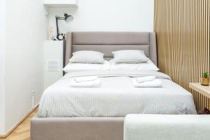 1 dormitorio con 1 cama grande y 2 almohadas blancas en Charming retreat near town centre, en Viena