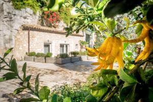 Zahrada ubytování San Giorgio Palace Hotel Ragusa Ibla