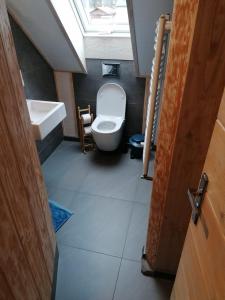 Een badkamer bij Pokoje 64