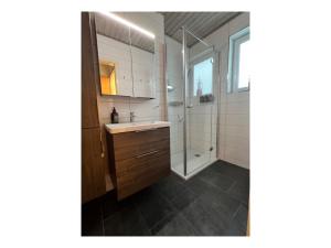 La salle de bains est pourvue d'un lavabo et d'une douche. dans l'établissement Haus im Schwarzwald, à Lenzkirch