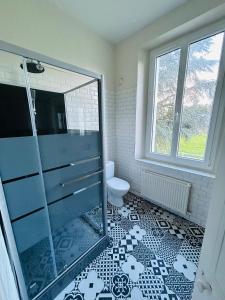 Un baño con ducha de cristal y un inodoro. en Gîte de groupe à la Ferme de Verdun, 1H30 de Paris, en Le Héron