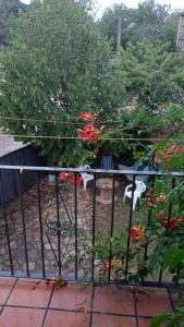 una cerca con un ramo de flores en un jardín en Casa La Tía Bruja - B en La Alberca