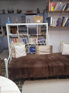 Knihovna v apartmánu