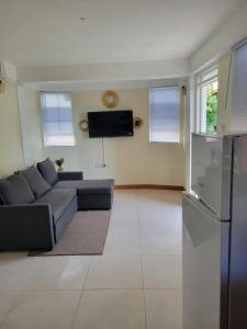 a living room with a couch and a tv at KanXio's Apartment in Pointe Michel