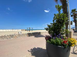 um grande plantador com flores na praia em Appartement T2 moderne avec terrasse clim parking et wifi - 4ALB3 em Perpignan