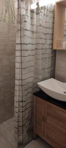 a bathroom with a sink and a shower curtain at Planika B&M in Bohinj +29 photos