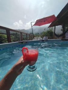 una persona sosteniendo una bebida roja en una piscina en Selva Maria Tayrona's Hostel, en Santa Marta