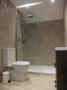 a bathroom with a shower and a toilet and a tub at The Count House in Saint Hilary