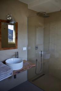 a bathroom with a sink and a shower at Ca' De Sass in Pila