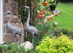 A garden outside B&B Appartments Cudlea