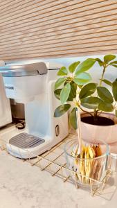 a toaster sitting on a counter next to a plant at Miami CUTE in Miami