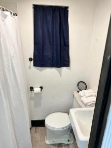 a bathroom with a white toilet and a blue shower curtain at Spruce Pine Inn in Spruce Pine