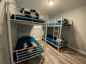 two bunk beds in a room with blue and white at Green HomeStay address changed in Los Angeles