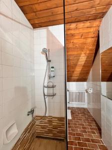 a shower in a bathroom with a wooden ceiling at Vila Morava in Liptovský Mikuláš +66 photos