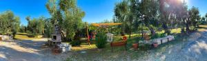 Zahrada ubytování Valle degli Ulivi B&B