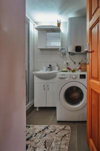 a kitchen with a washing machine and a sink at Brvnare Tomovic in Mateševo