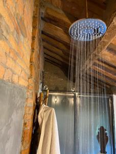 een douche in een badkamer met een blauwe douchekop bij Il Corvo Viaggiatore in Solarolo Monasterolo