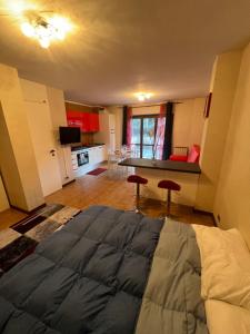 1 dormitorio con 1 cama grande y cocina en Limone central suite Mountain View, en Limone Piemonte