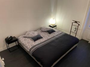 1 dormitorio con 1 cama grande y 2 almohadas en Appartement proche de la gare de Roanne, en Roanne