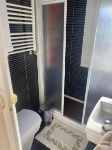 a bathroom with a toilet and a sink at BAHIÑA MAR in Baiona