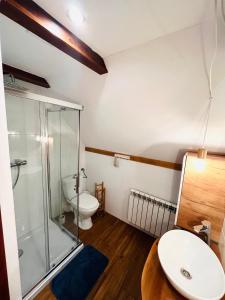 a bathroom with a shower and a toilet and a sink at Pokoje i Apartamenty Donia in Ustroń