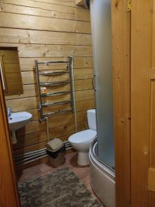 a bathroom with a toilet and a sink at Садиба Гуцульський Двір in Vorokhta