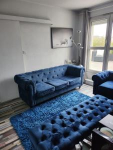 ein blaues Sofa im Wohnzimmer mit blauem Teppich in der Unterkunft Appartement attique Strasbourg in Straßburg