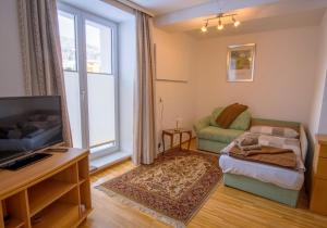 ein Wohnzimmer mit einem TV und einem Sofa in der Unterkunft Obersdorfer Hof in Bad Mitterndorf