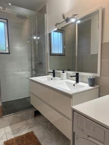 uma casa de banho com um lavatório, um chuveiro e um espelho. em Charmante maison 10 mn Center Parcs Ailette em Laon