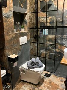 uma casa de banho com um chuveiro e um WC com toalhas em Maximilian apartman em Smederevo