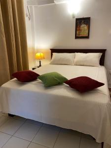 a bedroom with a white bed with red and green pillows at Sunshine Holiday Home at Wattala in Wattala