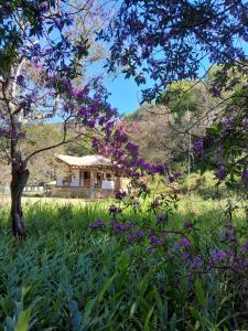 Phong cảnh thiên nhiên gần nhà gỗ