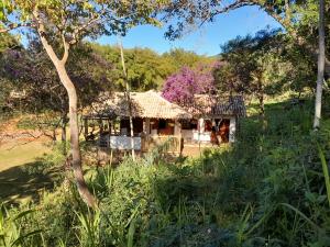 Vườn quanh Chalé das borboletas