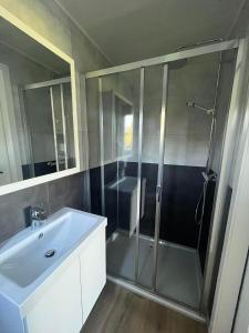 a bathroom with a shower and a sink at Au p'tit pré des salers in Hamois