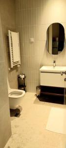 La salle de bains est pourvue de toilettes et d'un miroir. dans l'établissement Galerija Libera, à Belgrade