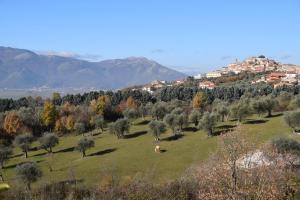 a field with trees and a town in the background at b&b Adamà in Atena Lucana