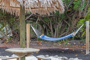 Zahrada ubytování Pirates Cove Cottage at Palm View Inn of Sanibel with Bikes