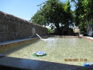 Swimmingpoolen hos eller tæt på Casa tranquila com jardim, o refúgio ideal para abrandar