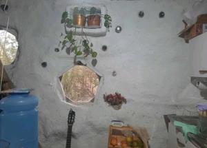 a kitchen with a wall with two windows and a plant at Felix Felicis 
