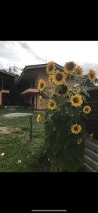 Giardino di Sky Hostel