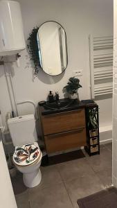een badkamer met een wastafel, een toilet en een spiegel bij Loft Rezé in Rezé