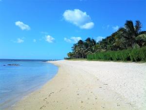 a sandy beach with palm trees and the ocean at Serenity Villa in Balaclava +12 photos