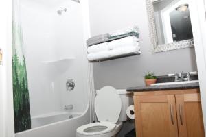 y baño con aseo, lavabo y espejo. en Sam & Comfort Home en San Juan de Terranova