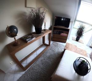 TV a/nebo společenská místnost v ubytování Skyview Suite