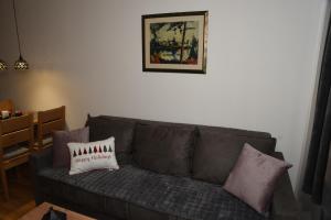 亞霍里納的住宿－Zlatni javor 515，客厅配有带枕头的灰色沙发